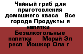 Чайный гриб для приготовления домашнего кваса - Все города Продукты и напитки » Безалкогольные напитки   . Марий Эл респ.,Йошкар-Ола г.